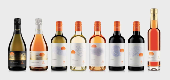 WINE Siap Ekspansi Bisnis di Tahun Depan