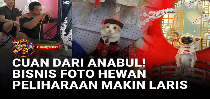 Rahasia Sukses Bisnis Fotografi Hewan Peliharaan